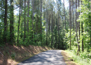 E.E. Robinson Park, North